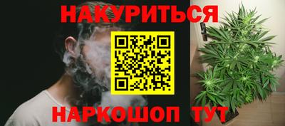 шишки Бузулук