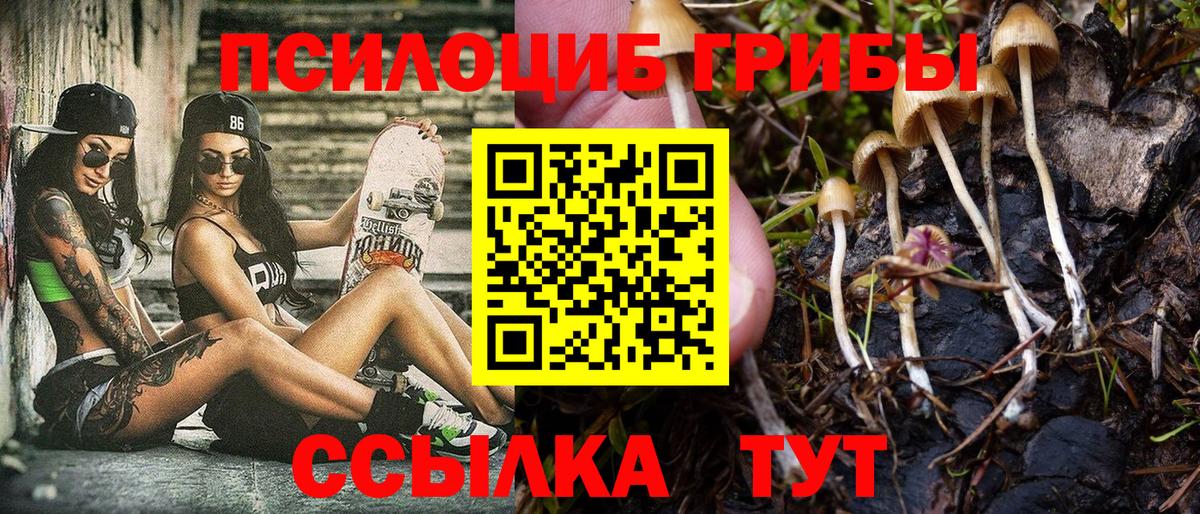 Галлюциногенные грибы Psilocybine cubensis  купить наркотики цена  Орск  Галлюциногенные грибы Psilocybine cubensis  Вход с VPN 